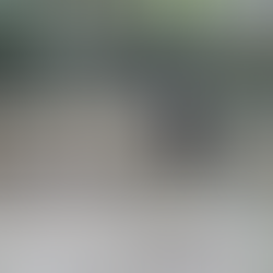 Gobierno de México aclara situación de agentes extranjeros tras accidente en Chihuahua