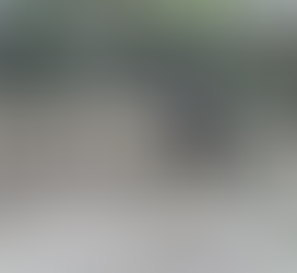 Gobierno de México aclara situación de agentes extranjeros tras accidente en Chihuahua