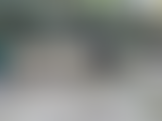 Gobierno de México aclara situación de agentes extranjeros tras accidente en Chihuahua