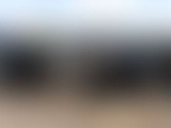 Cuidan a las familias de Chihuahua 14 perros policía de la DSPM