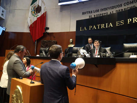 “El PAN convierte al Senado de la República en un circo”: Andrea Chávez