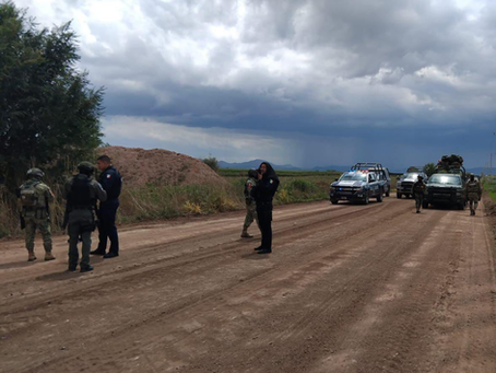 Autoridades localizan cuerpo en estado de descomposición en Campo Menonita #25