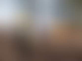 Llama Estado a prevenir incendios forestales durante Semana Santa