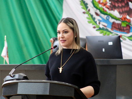 Maru y la Presidenta están organizadas contra el sarampión, que MORENA deje de partidizar: Grupo Parlamentario del PAN