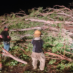 Prevén lluvias, tormentas eléctricas y posible caída de granizo en gran parte de Chihuahua