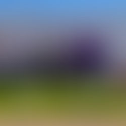 Chihuahua suma más medallas en ciclismo dentro de la Olimpiada Nacional Conade 2026