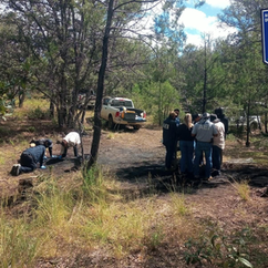 Localizan fragmentos óseos y casquillos durante operativo en Madera