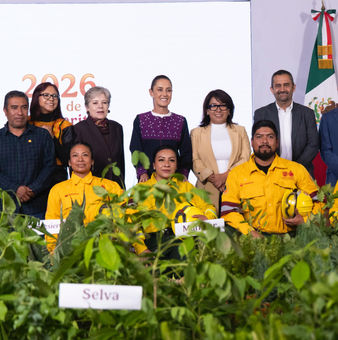 Sheinbaum presenta Jornada Nacional de Reforestación 2026; plantarán 6.6 millones de árboles y plantas