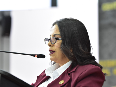 Instan a Secretaría de Gobernación Federal a que verifique videojuegos “Roblox” y “Free Fire”