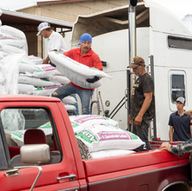 Entregan 300 toneladas de concentrado lechero a productores menonitas, en Cuauhtémoc