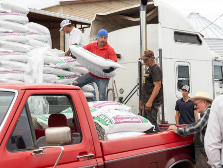 Entregan 300 toneladas de concentrado lechero a productores menonitas, en Cuauhtémoc