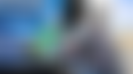 Fomentan esterilización de perros y gatos; suman más de 2 mil 340 procedimientos