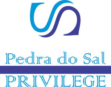 PDS LOGO PNG.png