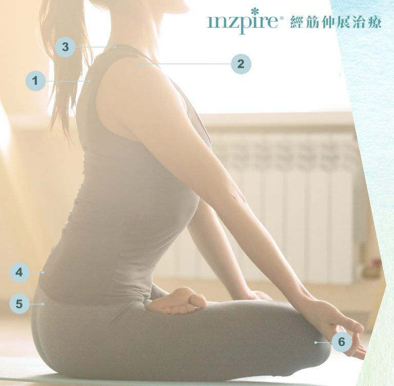 IB_website_Promotion_經筋伸展治療2-2-14-768x752.jpg