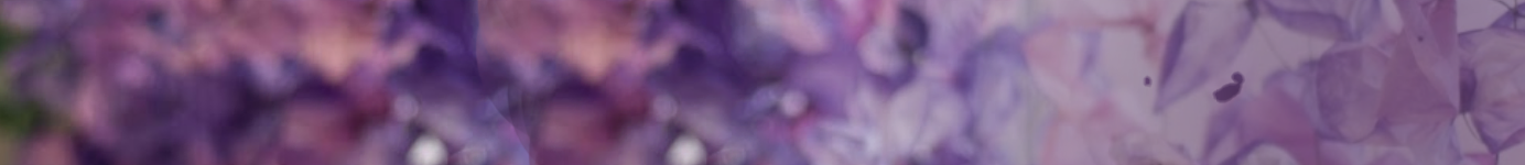 9607f4_0341694bc2e74ae29fba243a09d75def~mv2.3.webp