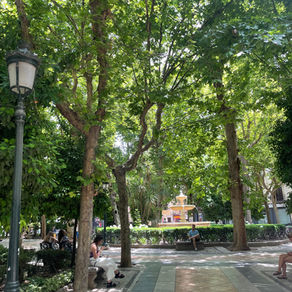 Grand Granada