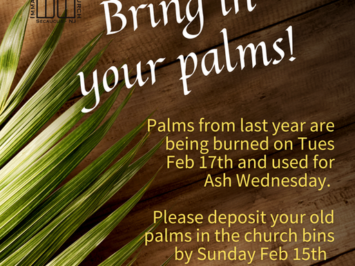              Bring in your palms!