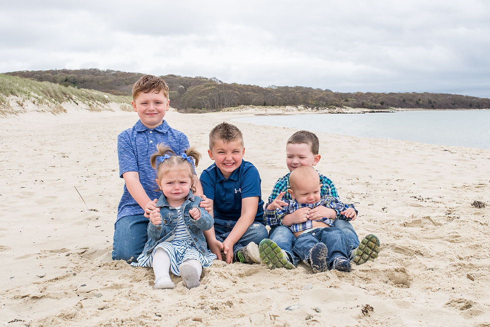 Lambert's Cove Beach, West Tisbury
