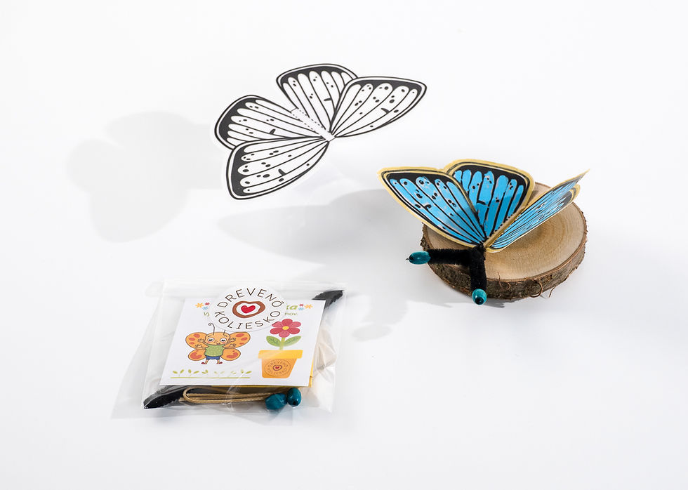 Miniatura: MOTÝLI  SET