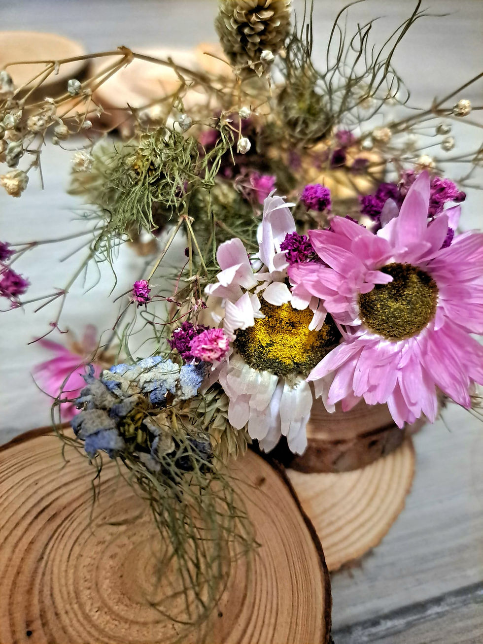 Miniatura: VENIEC KOLIESKO