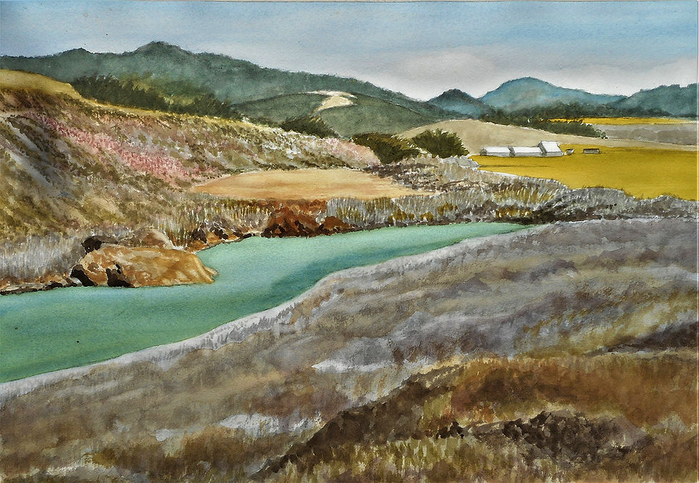 Alder Creek Winter Colors
