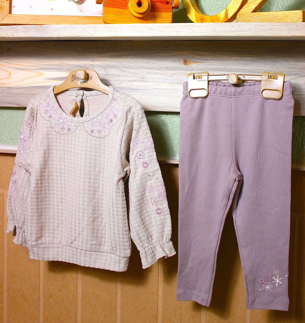 Küçük resim: 6-24 ay yaka ve kol işlemeli kız takım