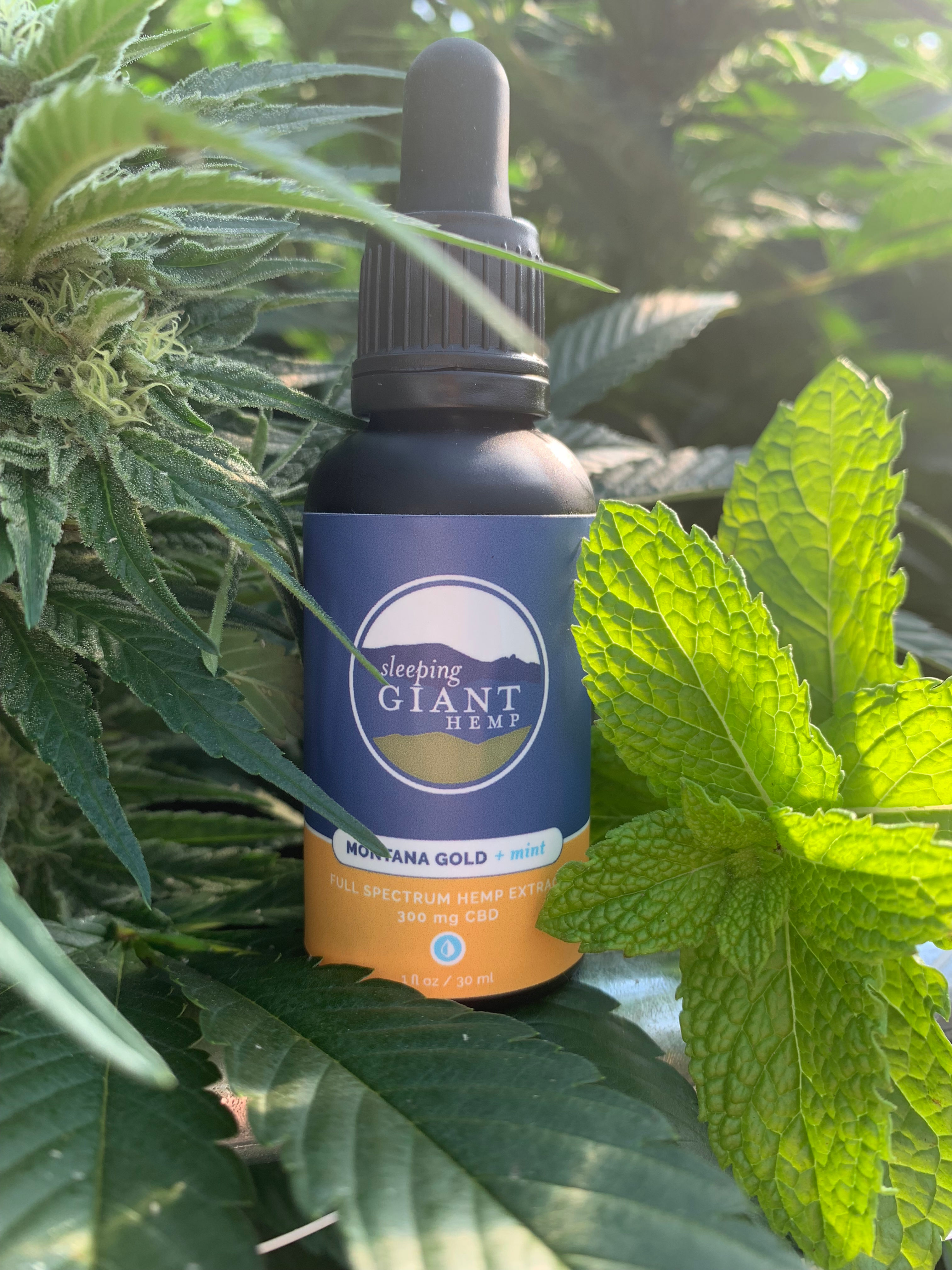 Wholesale Montana Gold + Mint