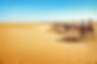 Sahara desert.jpg