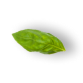 HJA_02_edited_edited.png
