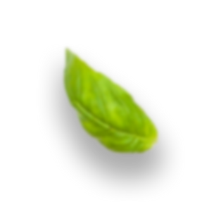 HJA_02.png