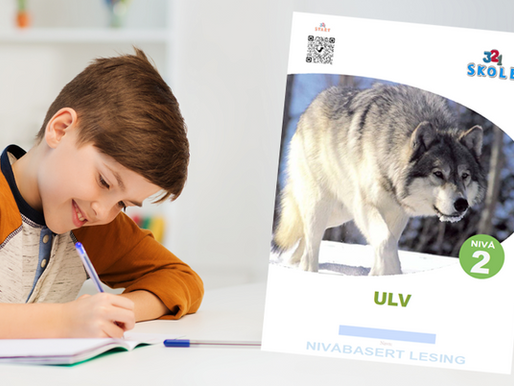 Fra null interesse til ekte leseglede – slik får vi guttene tilbake til bøkene