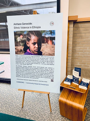 Poster & Brochure in display_Steuben County Library.jpg