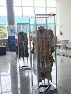 vitrine fechada para figurino