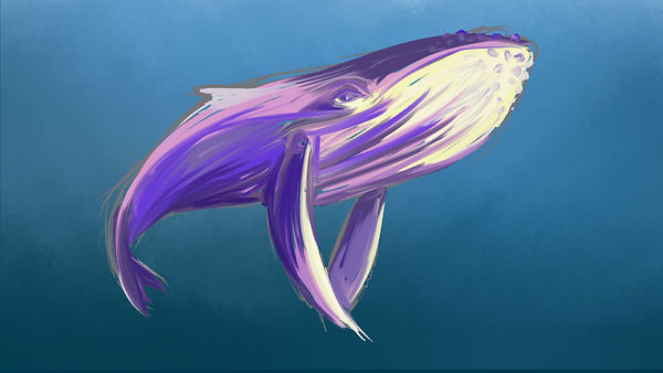 whale-whale-whale.jpg