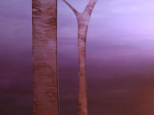 Test_tree-gels-dim.jpg