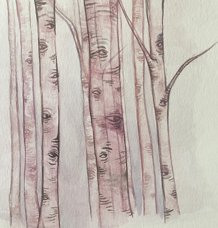 Birches_2.jpg