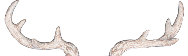 Antlers.png