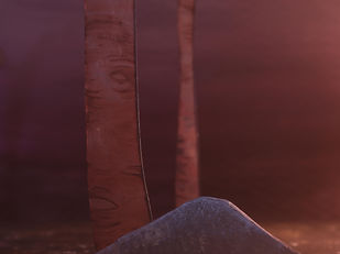 Test_tree-ground-gauze.jpg