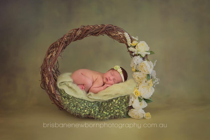 Baby Ava - Brisbane Baby Photographer
