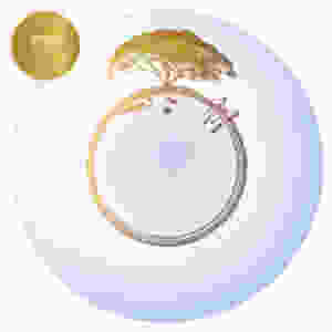 Award Winning Family Photographer Natarsha March