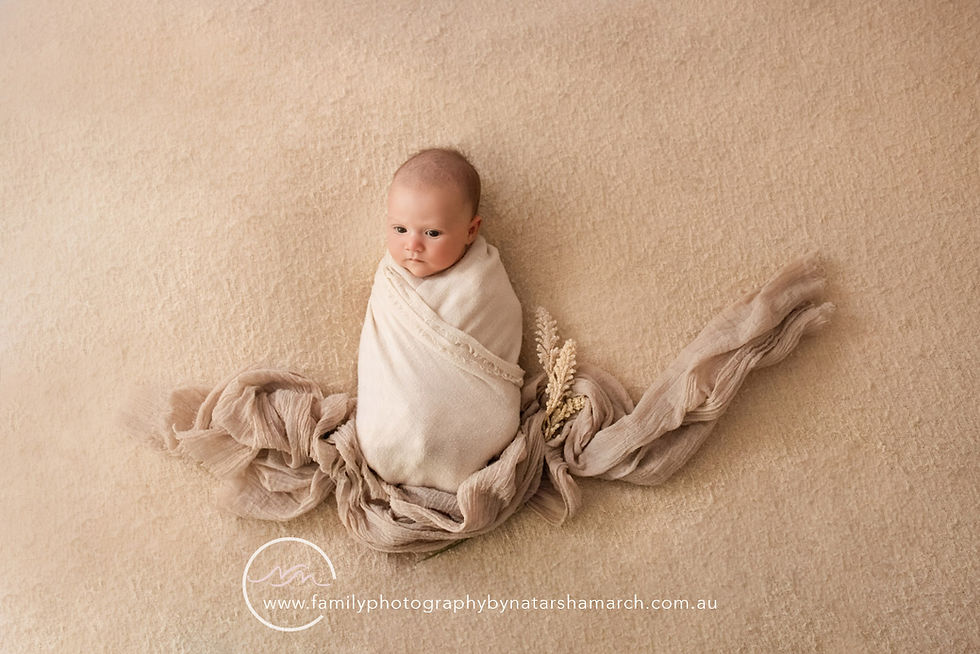 Baby settled in wraps at Brisbane newborn photography session with Natarsha March