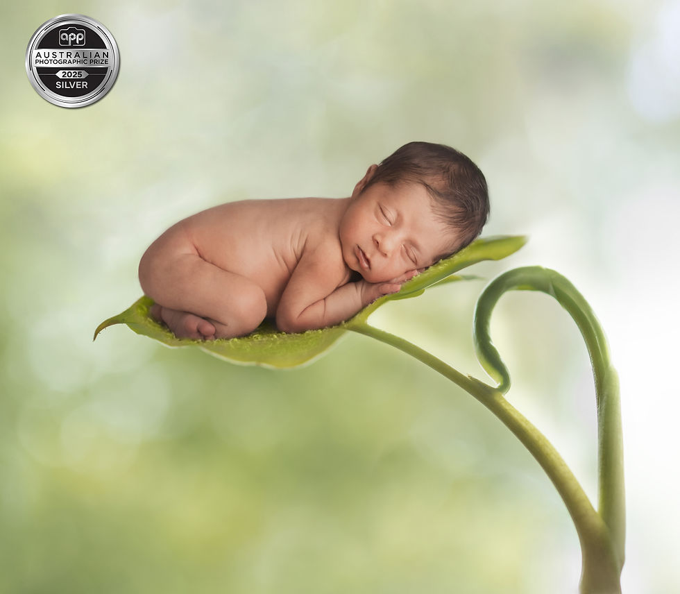 award winning newborn photography Brisbane