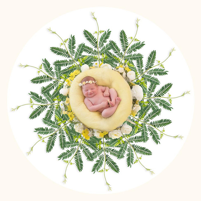 Baby Poppy - Brisbane Newborn Photographer