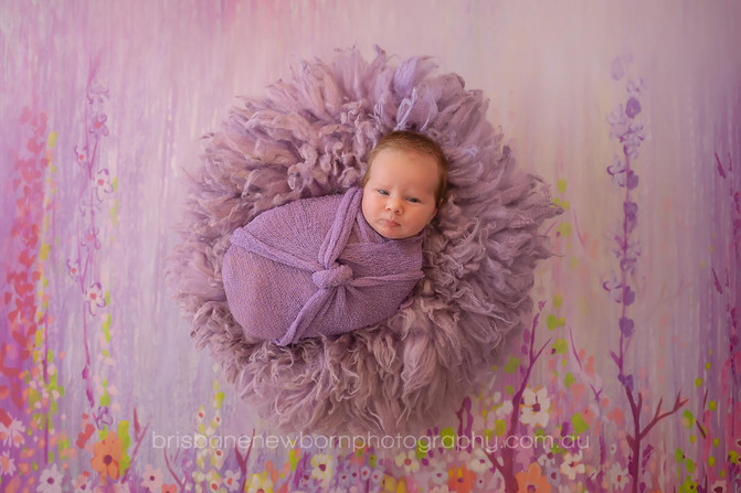 Baby Miranda - Brisbane Baby Photographer