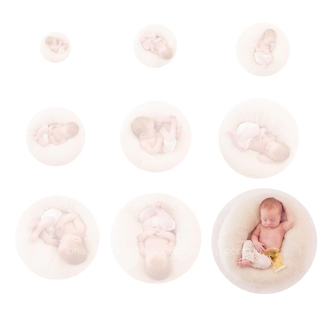 Baby Miller - Brisbane Newborn Photographer