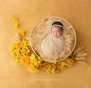 newborn_photographer_brisbane-69.jpg