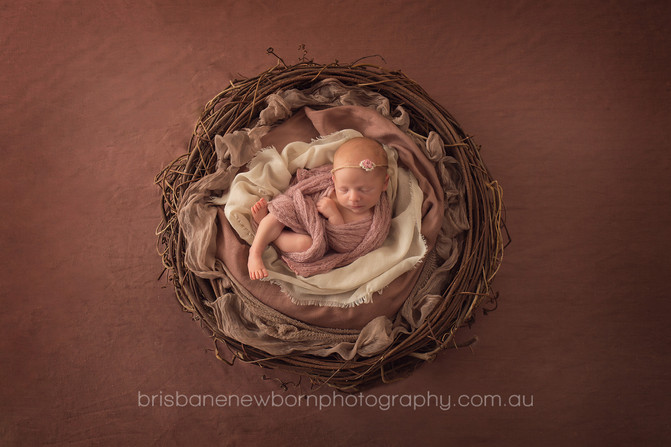 Baby Emily - Brisbane Newborn Photographer