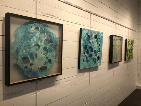 Cell Portraits, Installation view, Erica Konrad.