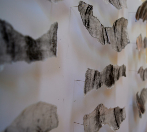 Mulberry paper, wax, charcoal rubbing, pins.