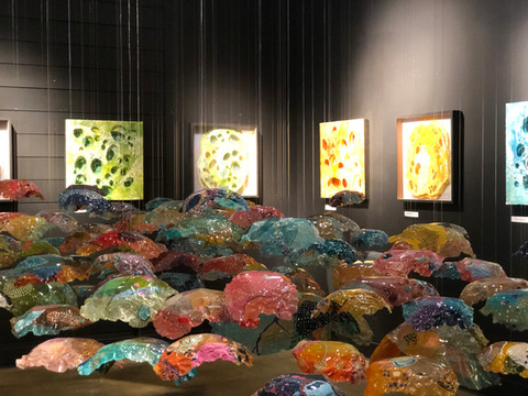 Cellular Expressions and Cell Portraits, gallery view, Erica Konrad.